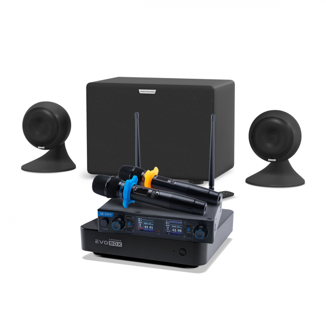 караоке-комплект EVOBOX + EvoSound Sphere 2.1 в Чебаркуле