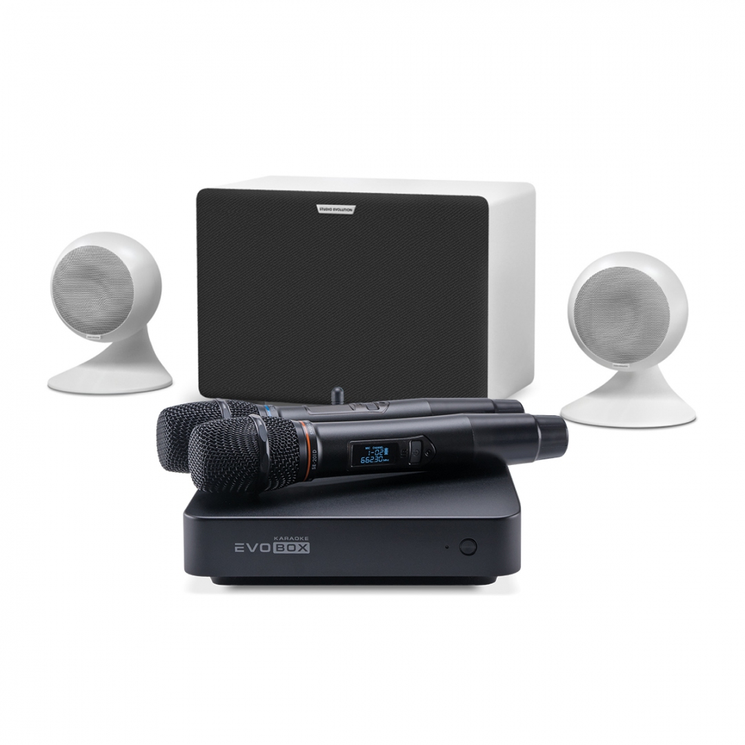 караоке-комплект EVOBOX Classic + EvoSound Sphere 2.1 в Чебаркуле