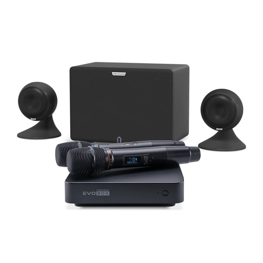 караоке-комплект EVOBOX Plus + EvoSound Sphere 2.1 в Чебаркуле