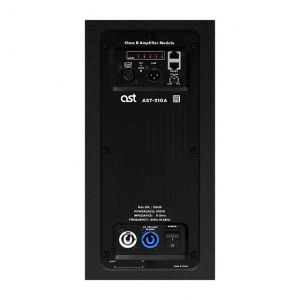 Активная акустическая система AST-310A в Чебаркуле