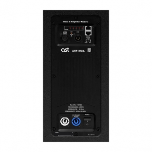 Активная акустическая система AST-312A в Чебаркуле
