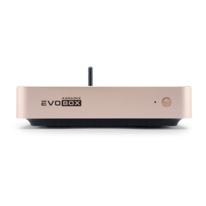 EVOBOX Classic караоке-система для дома в Чебаркуле