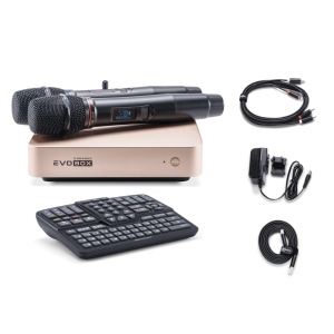 EVOBOX Classic караоке-система для дома в Чебаркуле