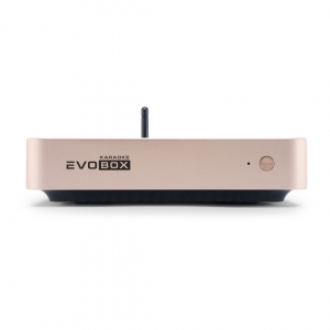 EVOBOX Plus караоке-система для дома в Чебаркуле